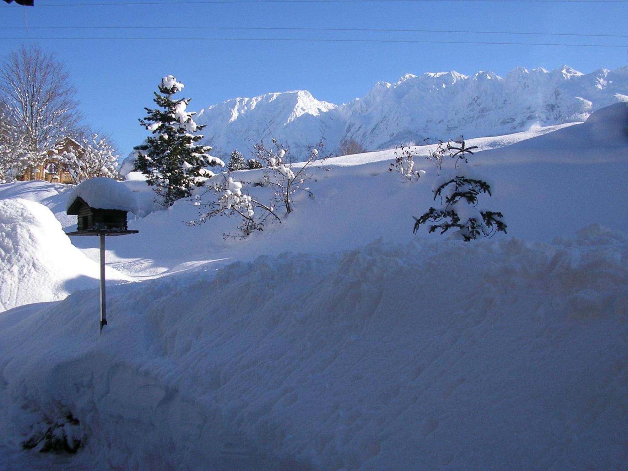 Appartementhaus Theresia Bad Mitterndorf Esterno foto